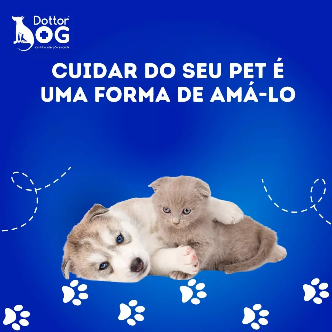 CUIDAR DA SAÚDE DE SEU PET É UMA FORMA DE AMÁ-LO